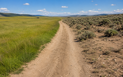 Common Causes of Grassland Degradation